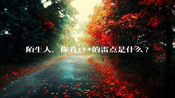 陌生人，你看***的雷点是什么?